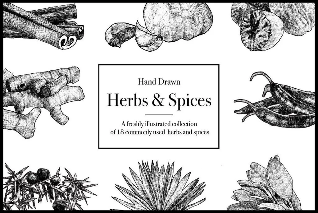 E3633_00.jpg E3633_00.jpg