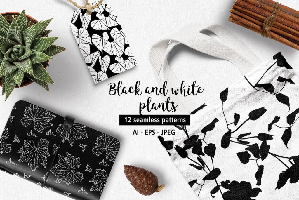 E3645_00.jpg E3645_00.jpg