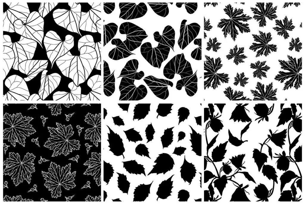 E3645_04.jpg E3645_04.jpg