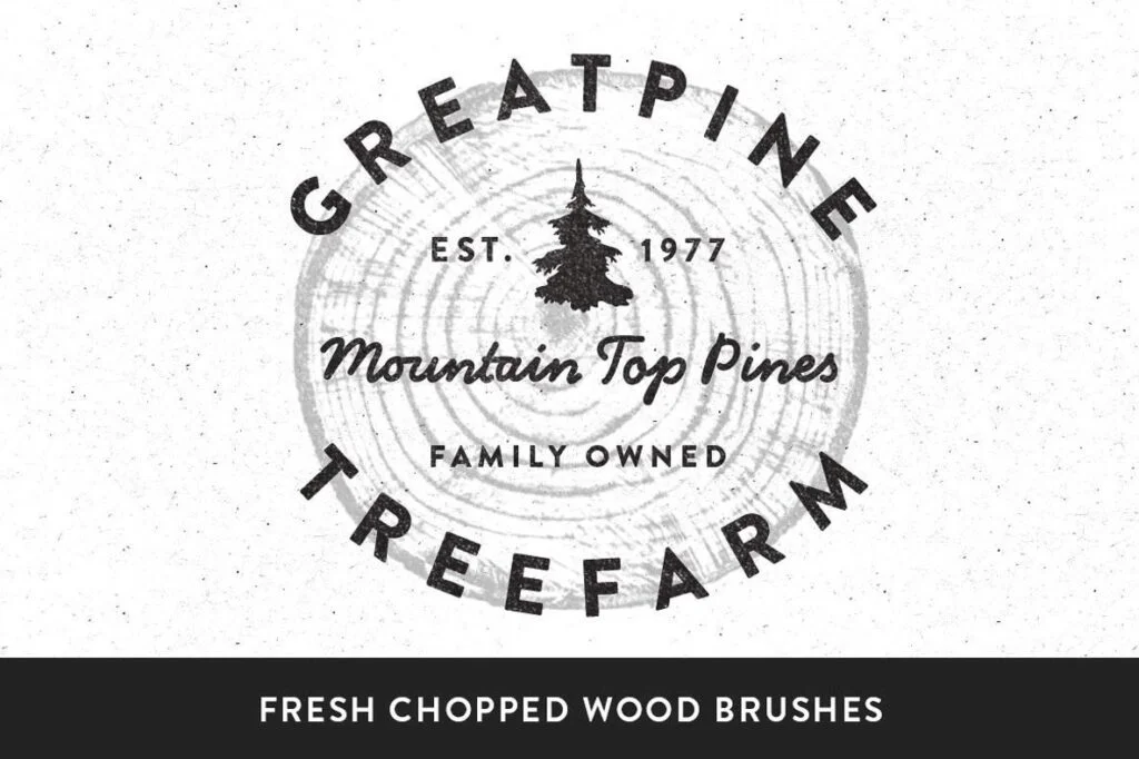 E3656_01.jpg E3656_01.jpg