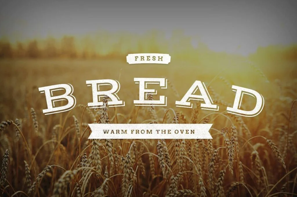 E3677_02.jpg E3677_02.jpg