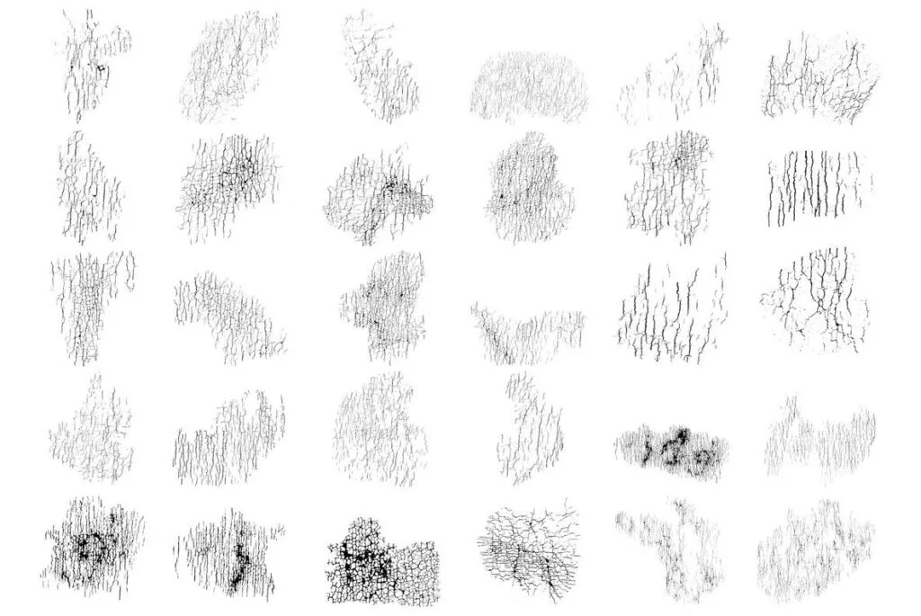 E3703_03.jpg E3703_03.jpg