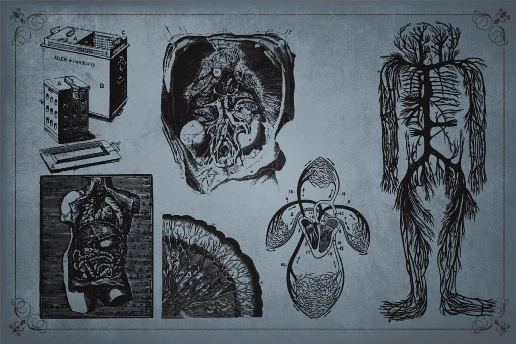 E3734_05.jpg E3734_05.jpg