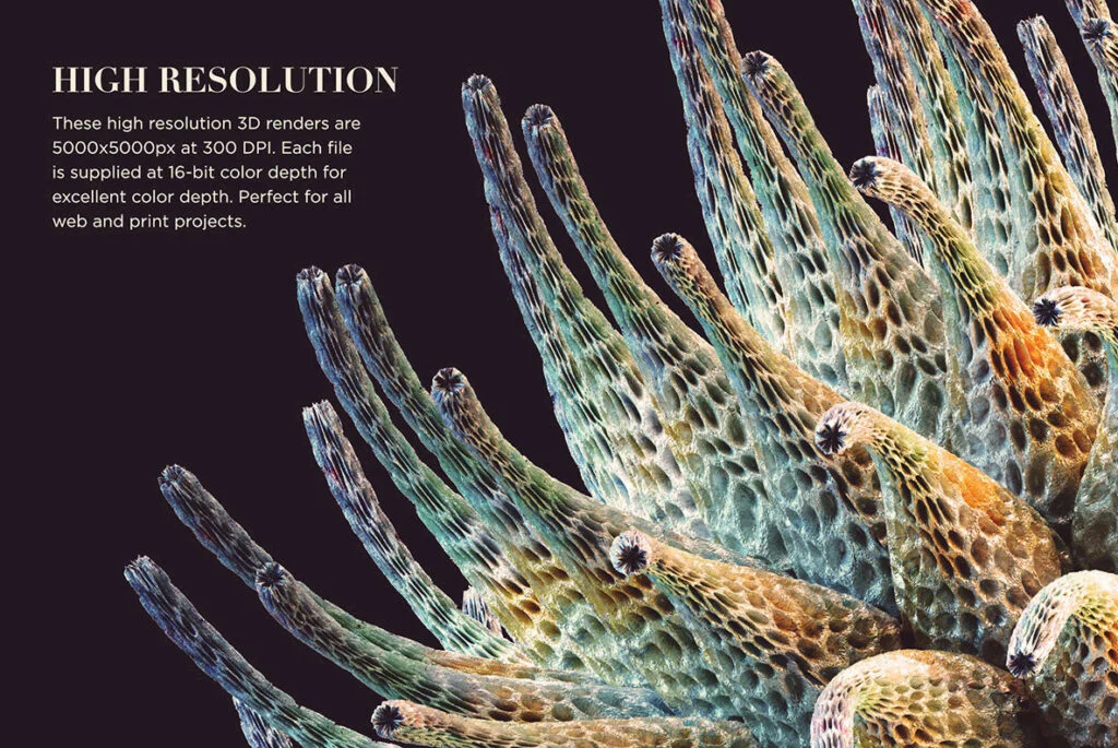 E3743_02.jpg E3743_02.jpg