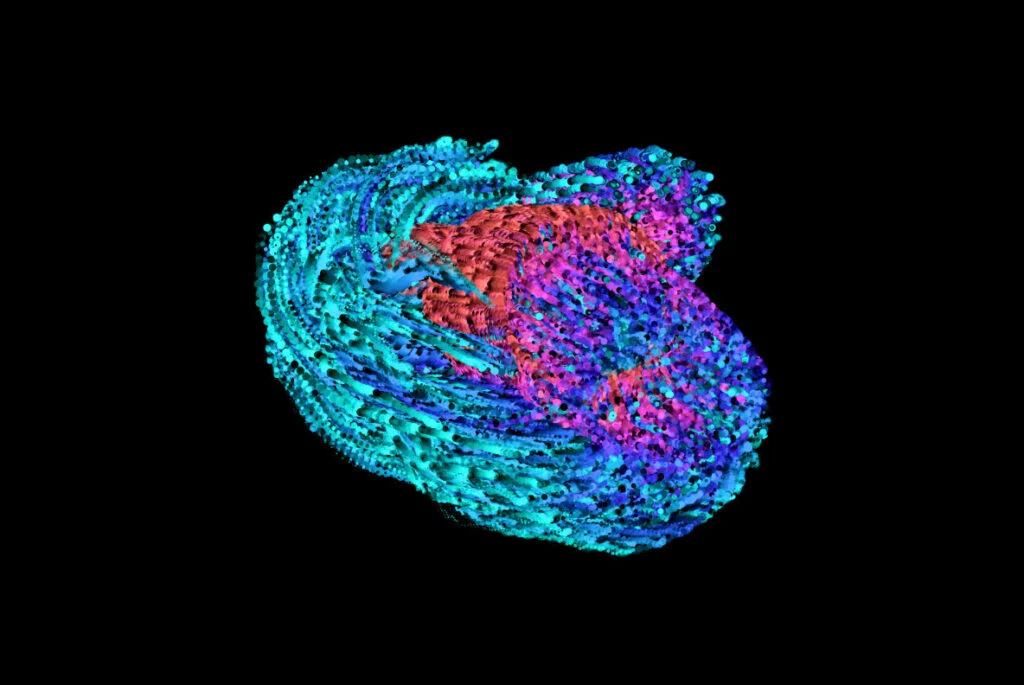 E3773_04.jpg E3773_04.jpg