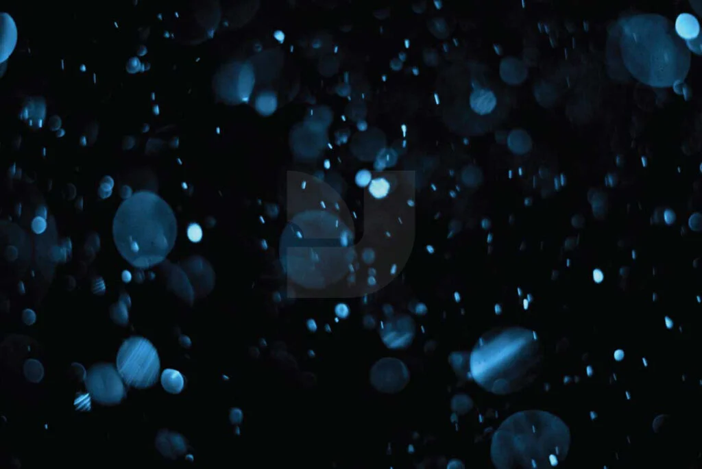 E3791_05.jpg E3791_05.jpg