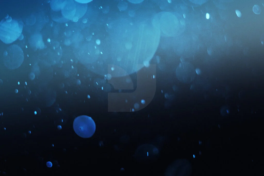 E3803_05.jpg E3803_05.jpg