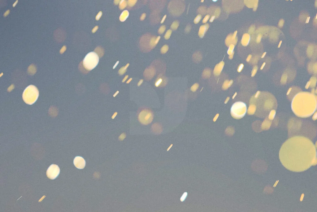 E3804_02.jpg E3804_02.jpg