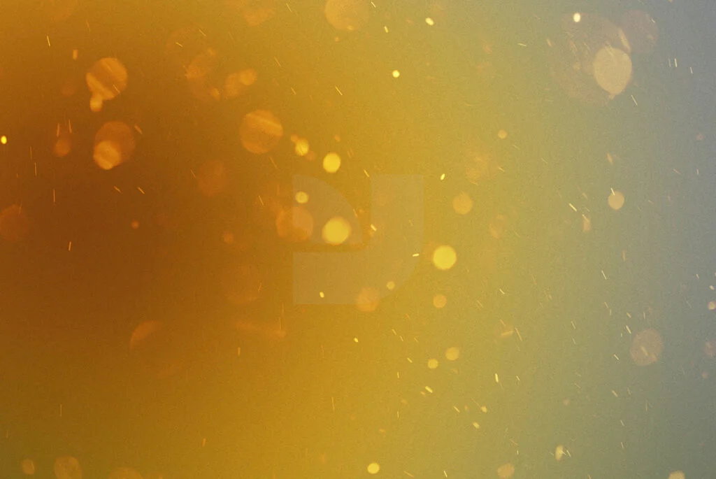 E3805_01.jpg E3805_01.jpg