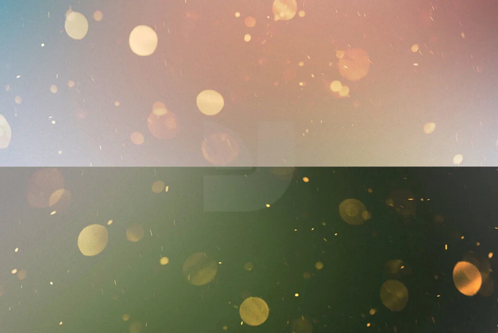 E3805_02.jpg E3805_02.jpg