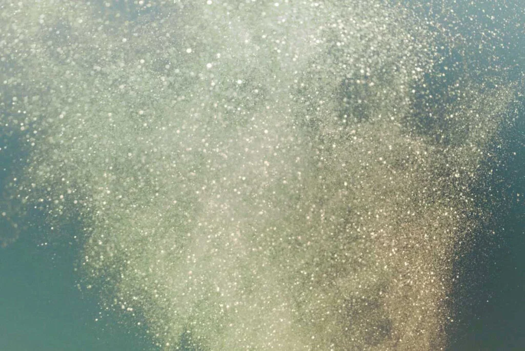 E3809_01.jpg E3809_01.jpg