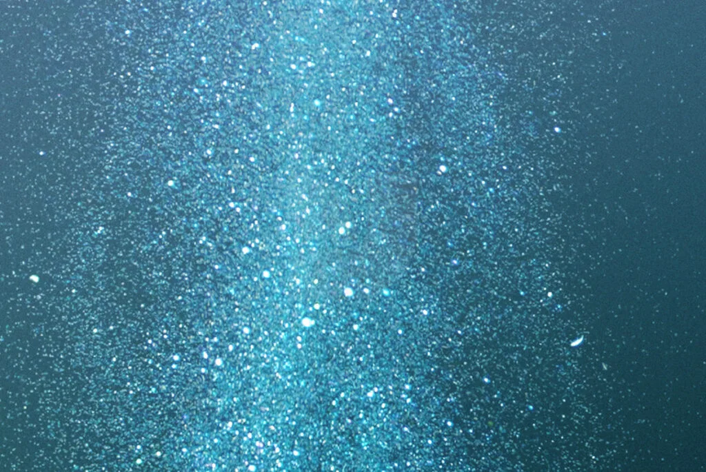 E3830_03.jpg E3830_03.jpg