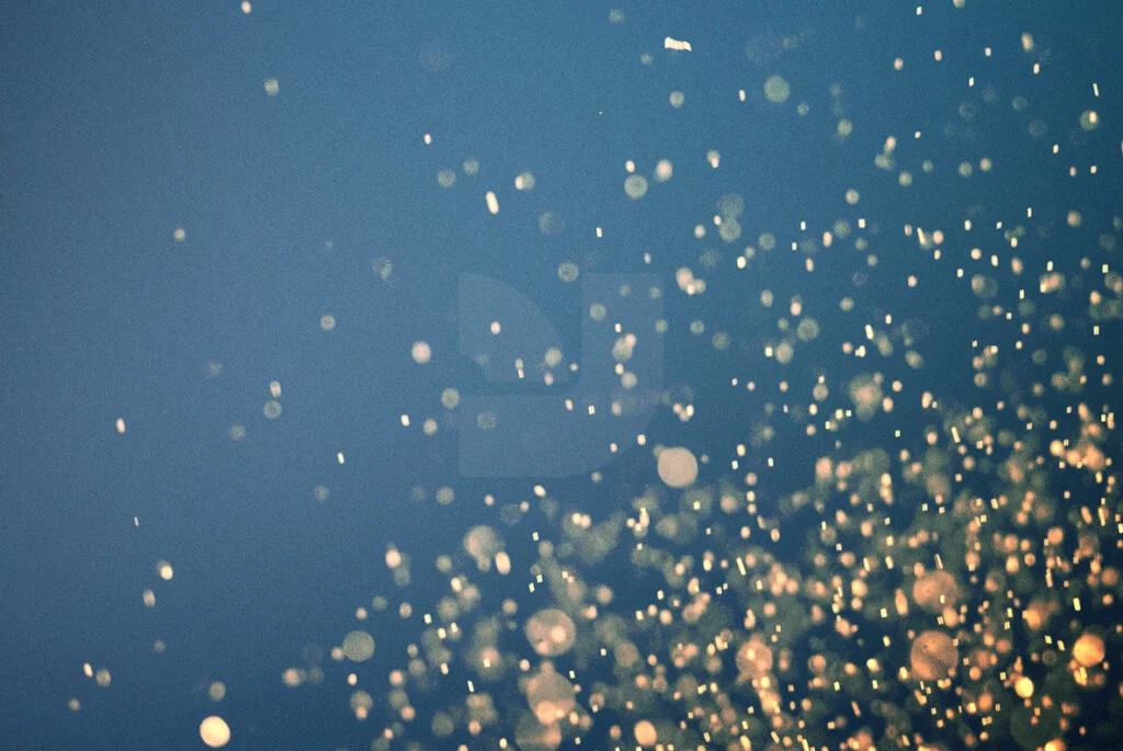 E3831_01.jpg E3831_01.jpg