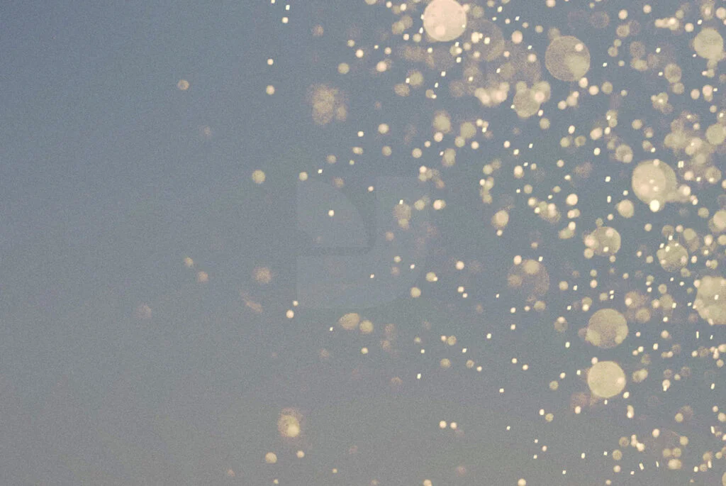 E3831_04.jpg E3831_04.jpg