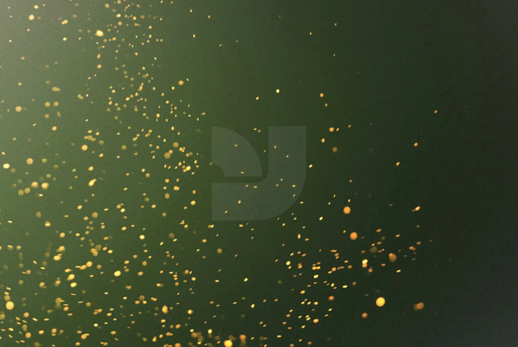 E3833_01.jpg E3833_01.jpg