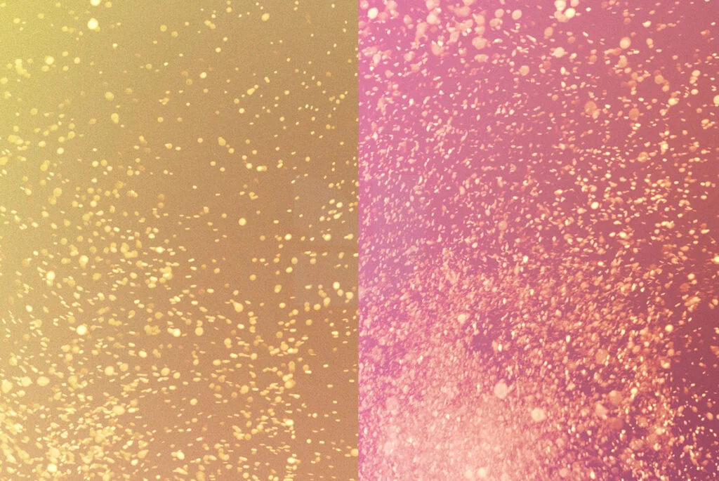 E3833_03.jpg E3833_03.jpg