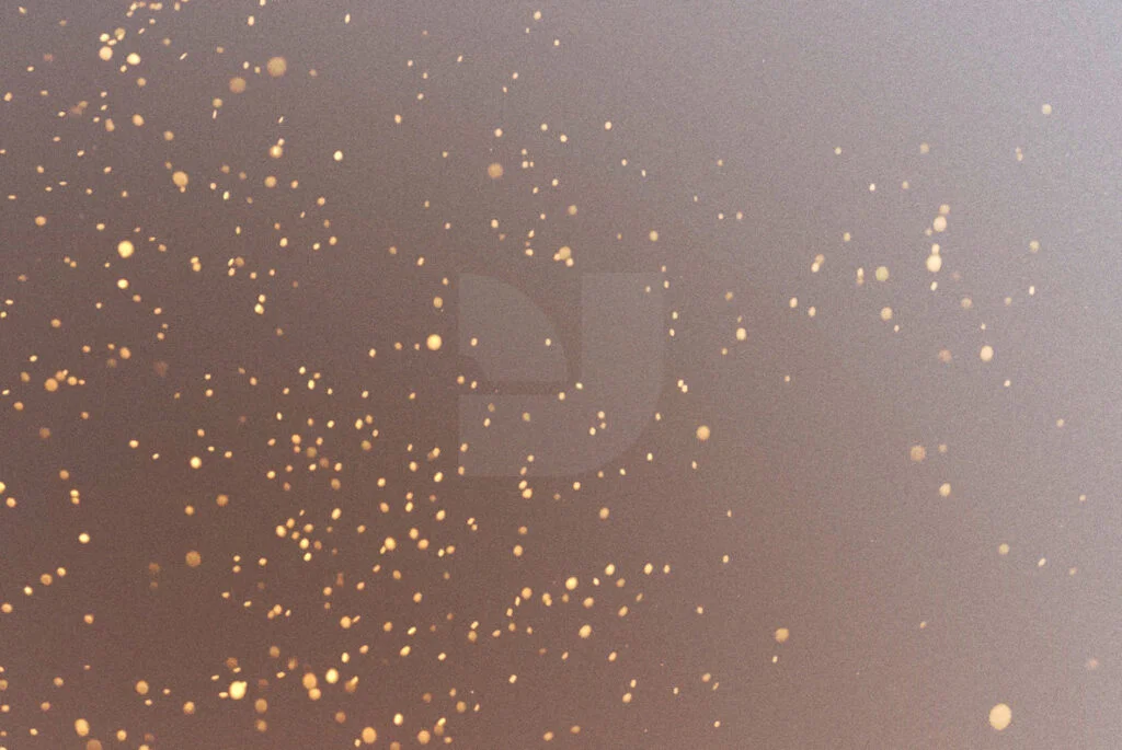 E3833_04.jpg E3833_04.jpg