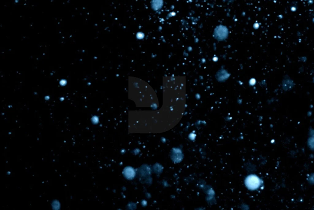 E3835_05.jpg E3835_05.jpg