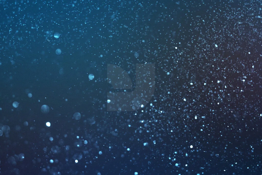 E3851_04.jpg E3851_04.jpg