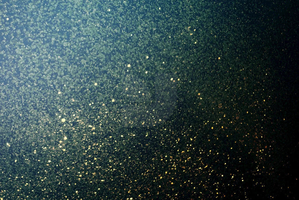 E3853_01.jpg E3853_01.jpg