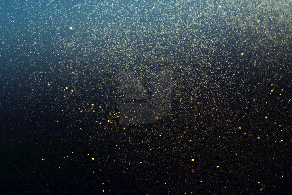 E3853_04.jpg E3853_04.jpg