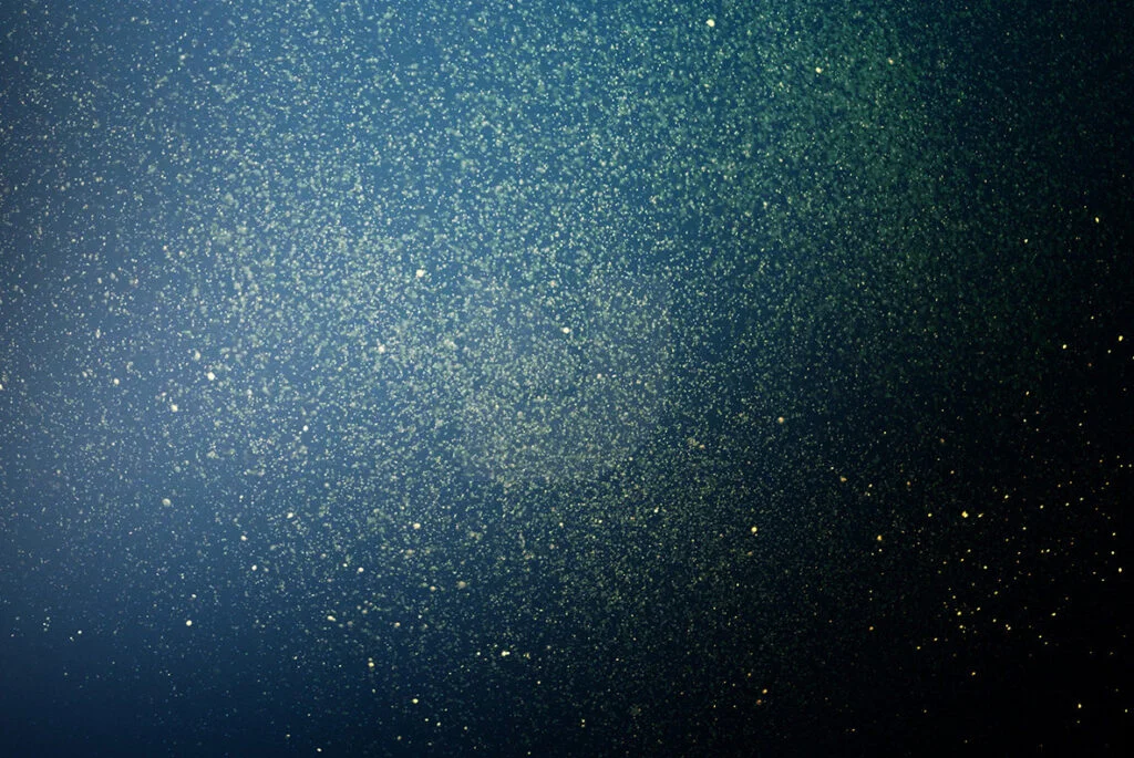 E3853_05.jpg E3853_05.jpg