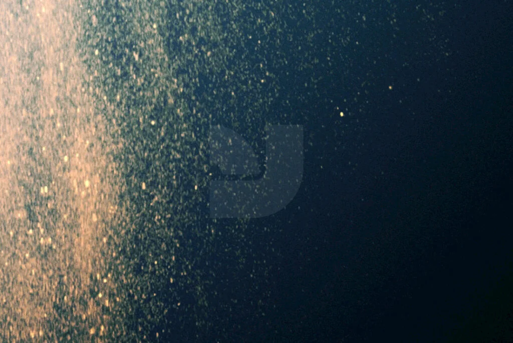 E3854_02.jpg E3854_02.jpg