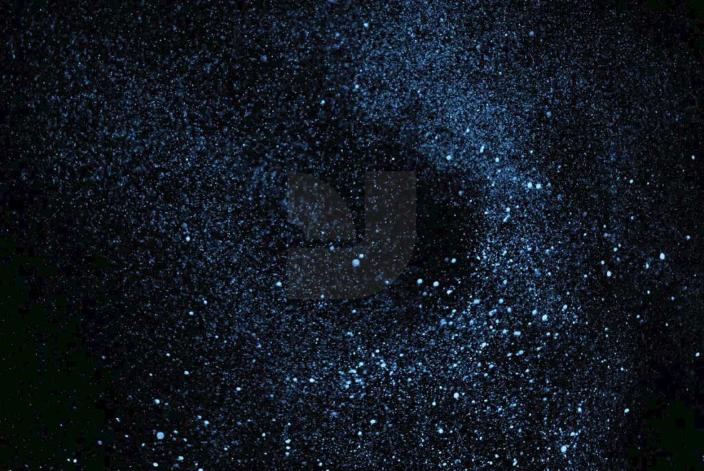 E3859_01.jpg E3859_01.jpg