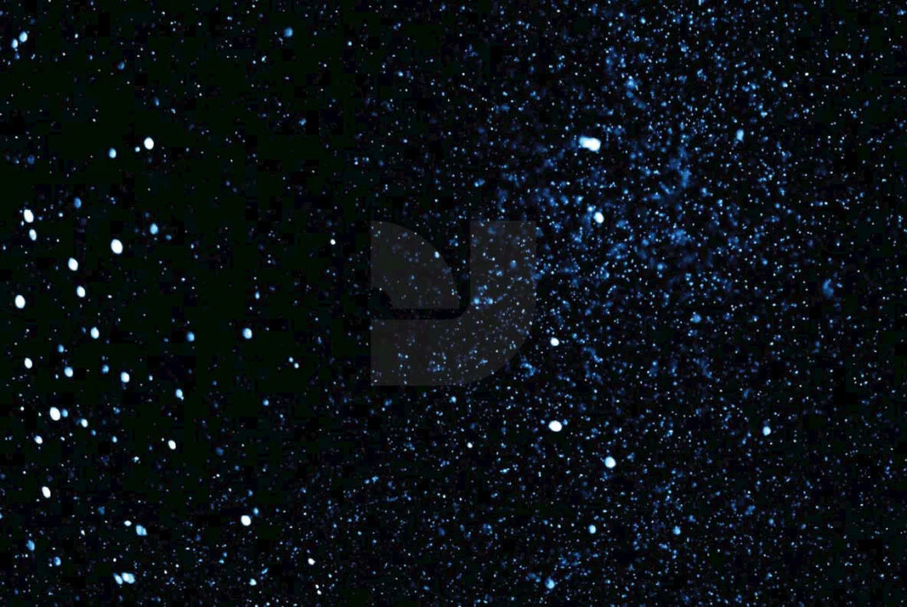 E3859_04.jpg E3859_04.jpg