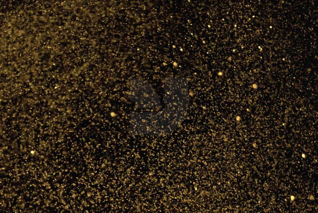 E3860_05.jpg E3860_05.jpg