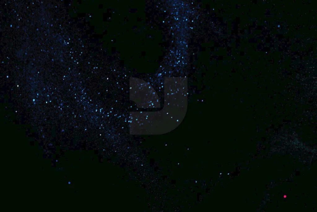 E3861_02.jpg E3861_02.jpg