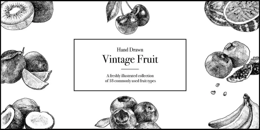 Hand Drawn Vintage Fruit Graphics - Image 1
