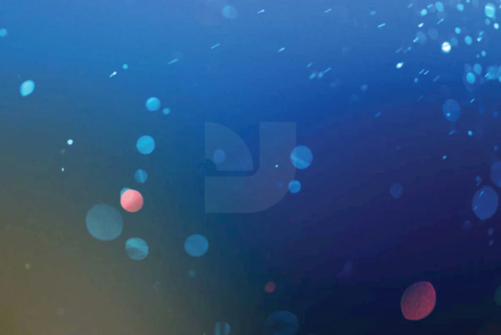 E3880_01.jpg E3880_01.jpg