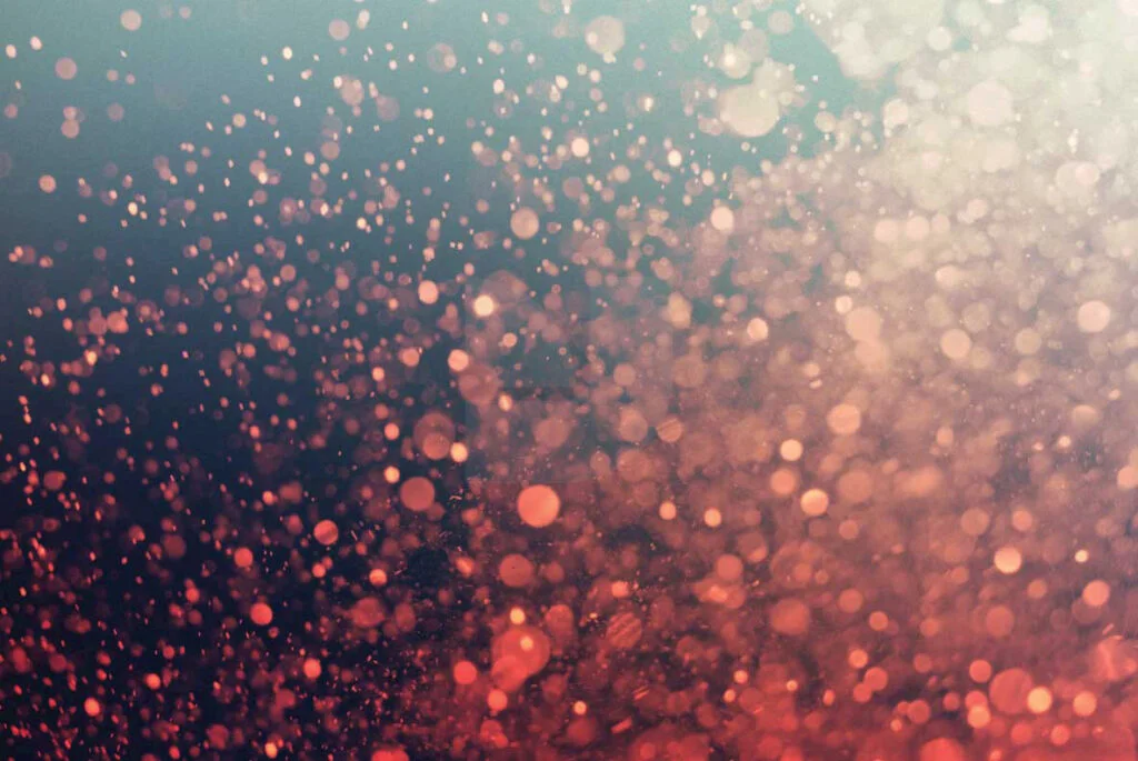 E3881_01.jpg E3881_01.jpg