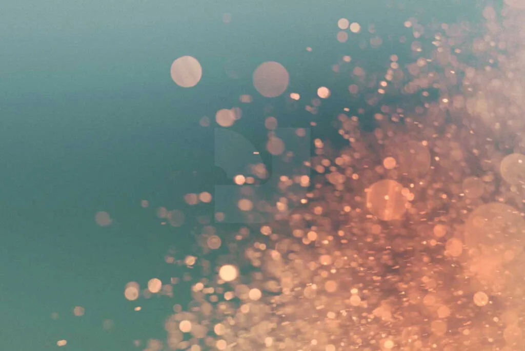 E3881_03.jpg E3881_03.jpg