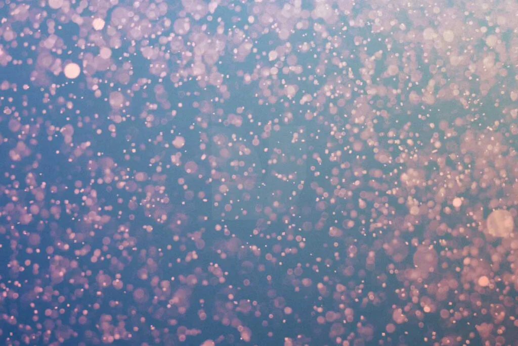 E3881_04.jpg E3881_04.jpg