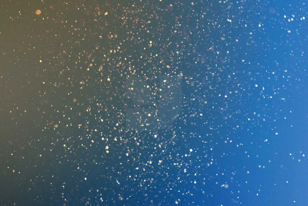 E3882_05.jpg E3882_05.jpg