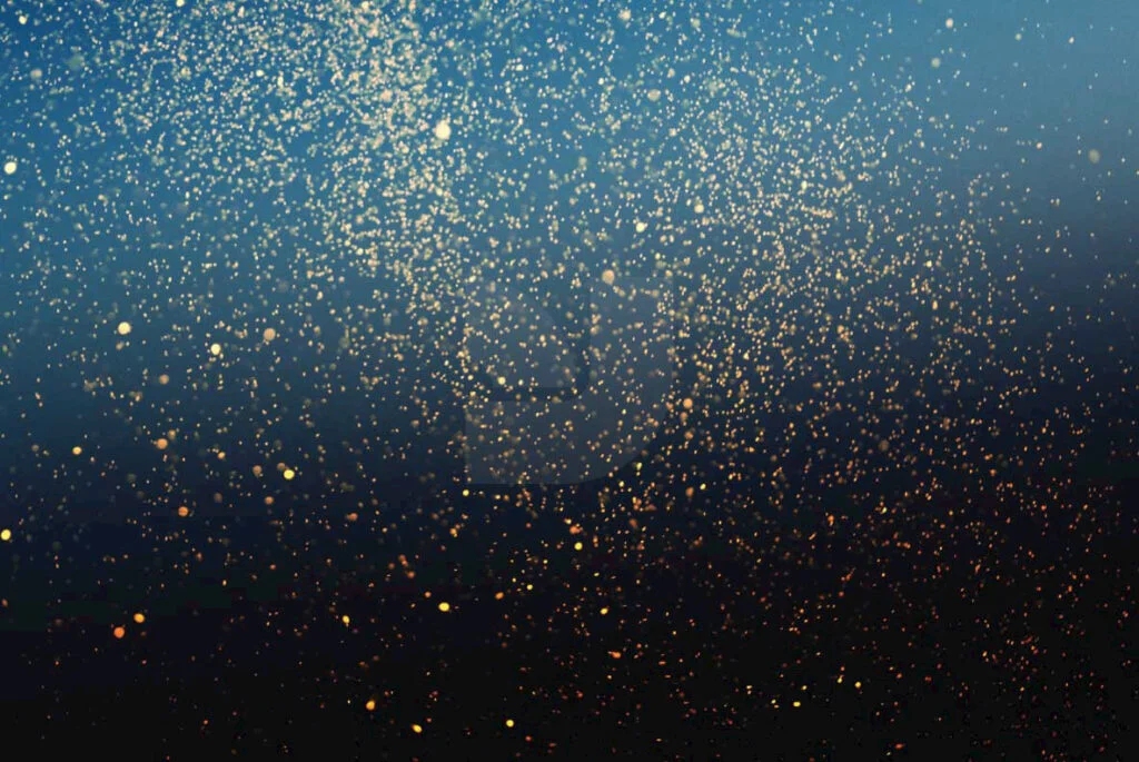 E3883_02.jpg E3883_02.jpg