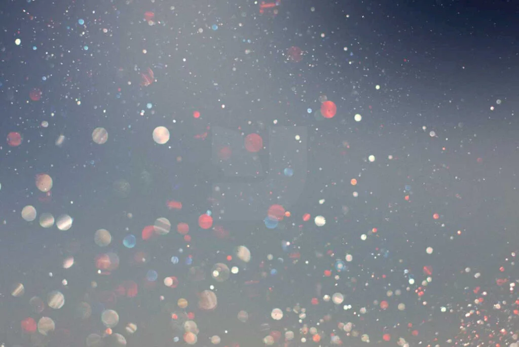 E3884_01.jpg E3884_01.jpg