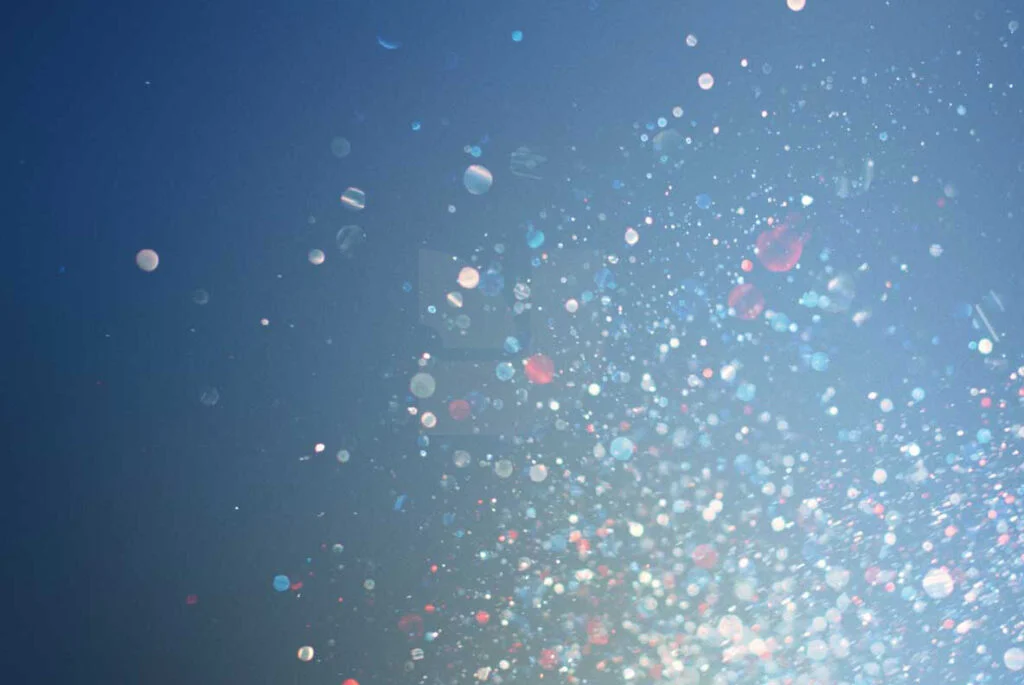 E3884_05.jpg E3884_05.jpg