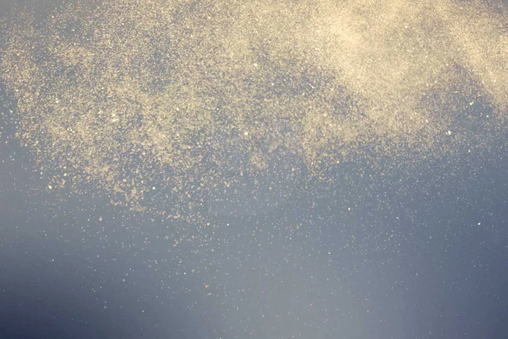 E3885_03.jpg E3885_03.jpg