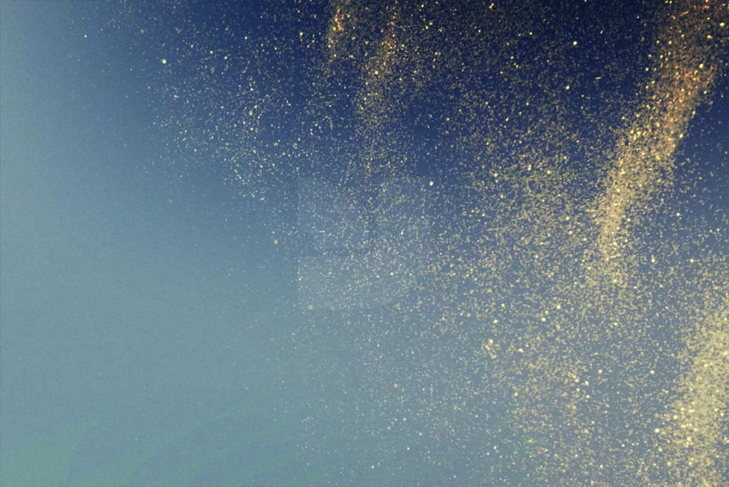 E3886_05.jpg E3886_05.jpg