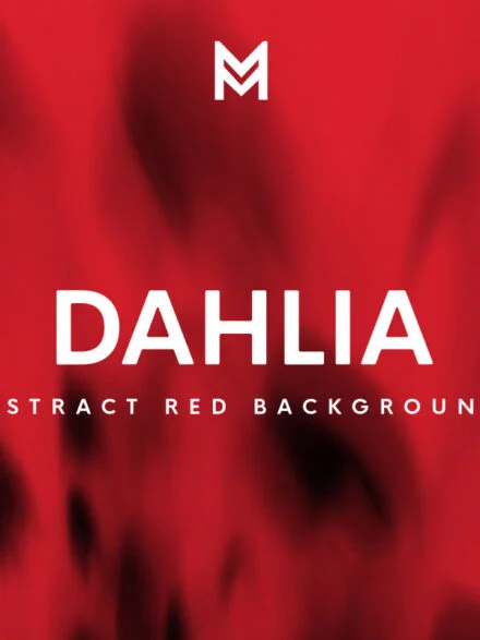 Dahlia Graphics - Image 7