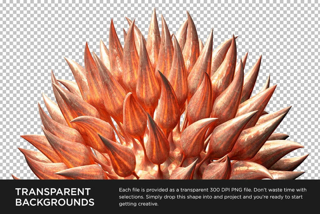 E3897_04.jpg E3897_04.jpg