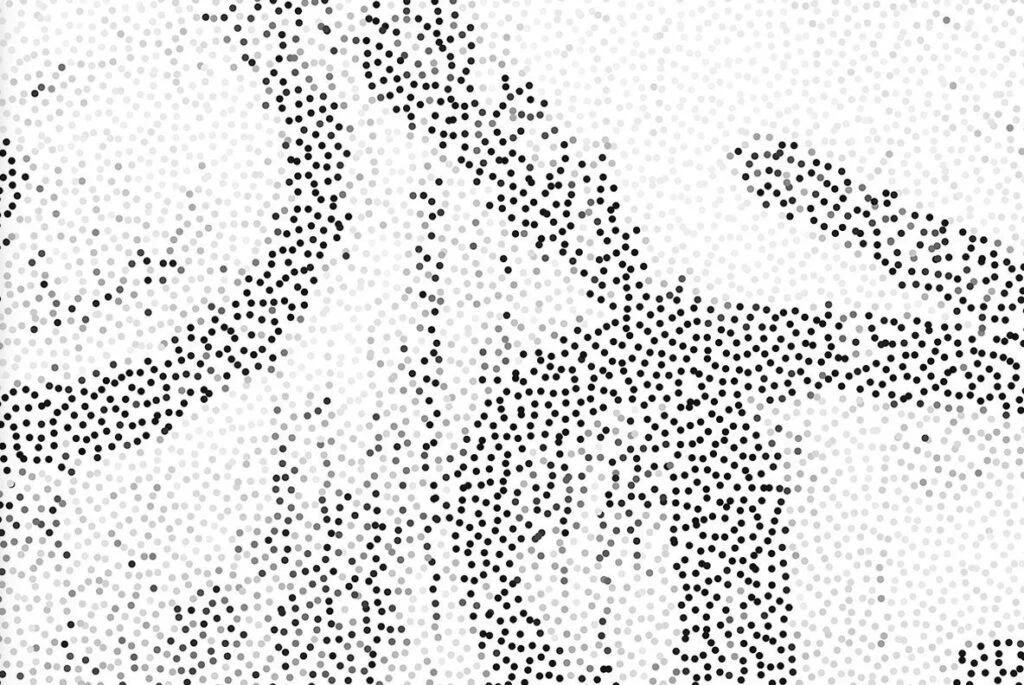 E3905_01.jpg E3905_01.jpg