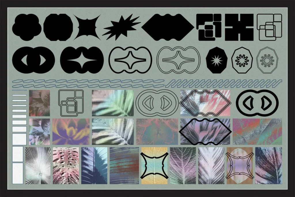 E9555_02.jpg E9555_02.jpg