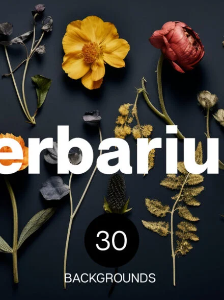 Herbarium Backgrounds Graphics - Image 1