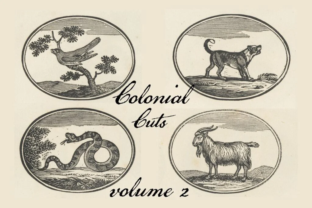 E9586_04.jpg E9586_04.jpg