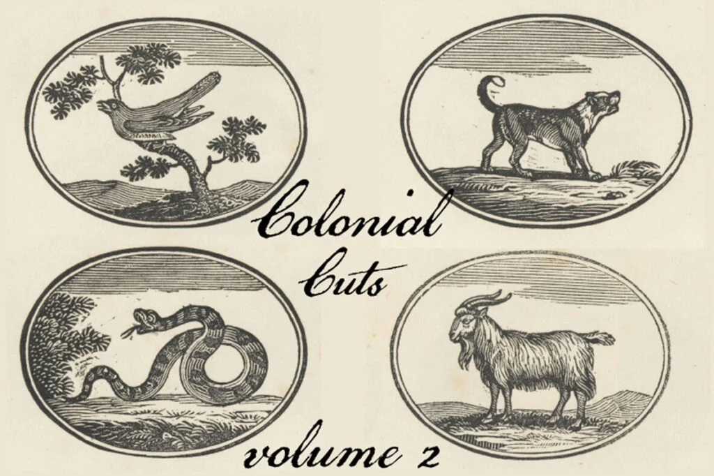 E9586_05.jpg E9586_05.jpg