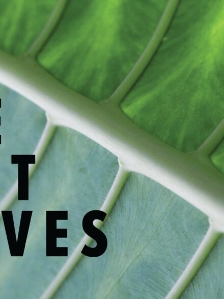 Leaves 01 Graphics - Image 1